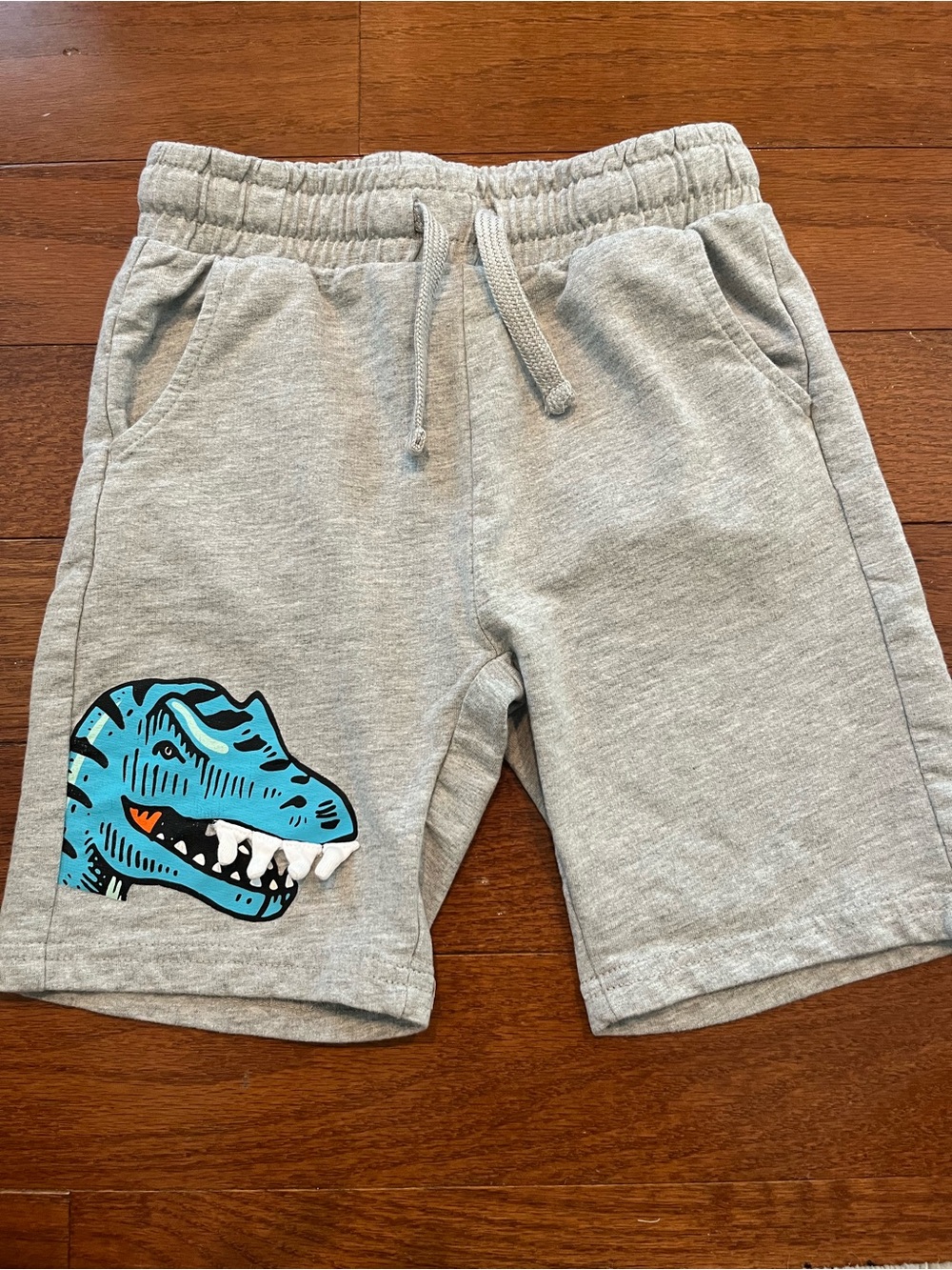 Boys Gray Drawstring Shorts with Blue Dinosaur Print Size 5